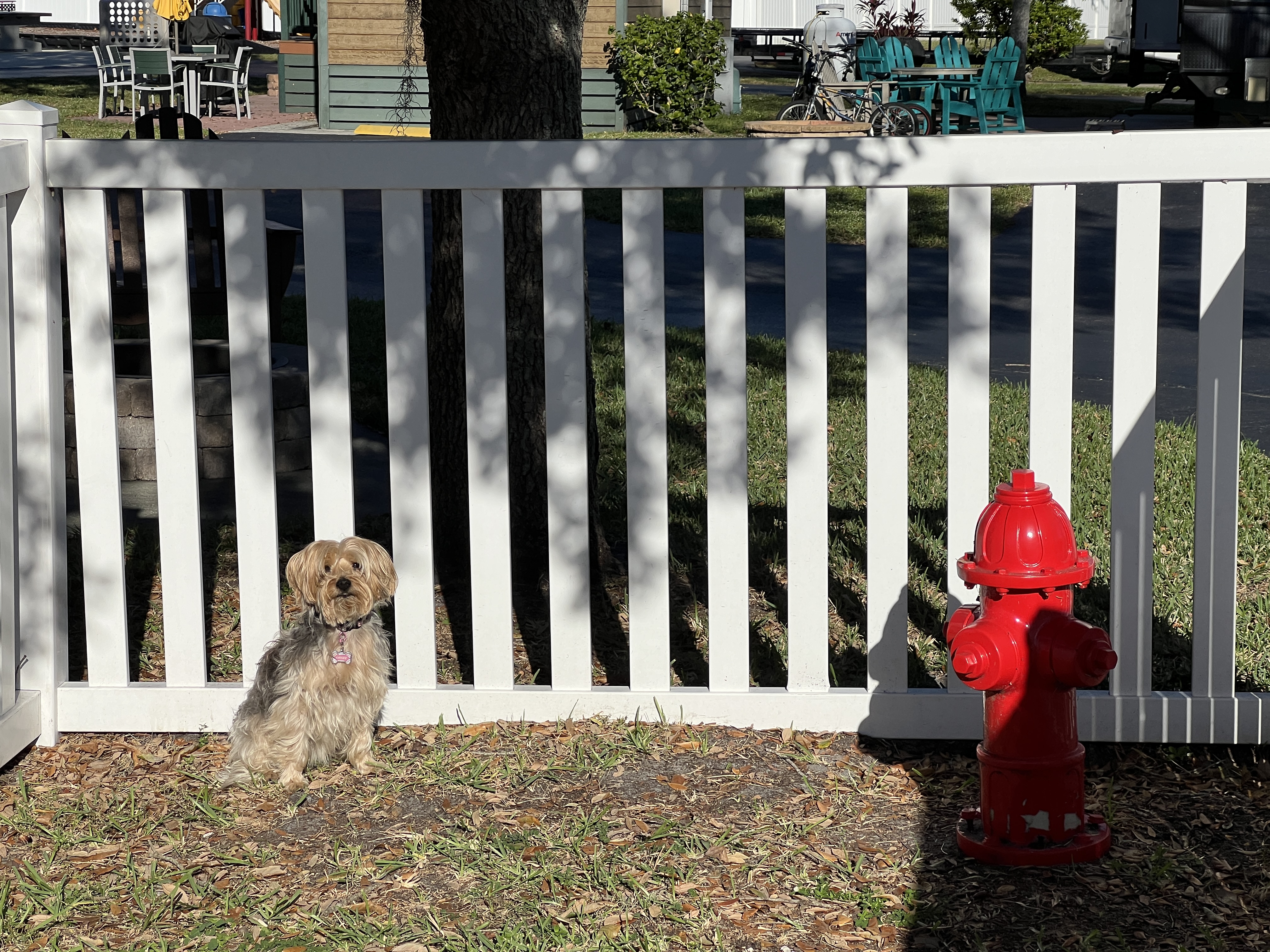 ./2024/12 - Thanksgiving/IMG_3846.JPG